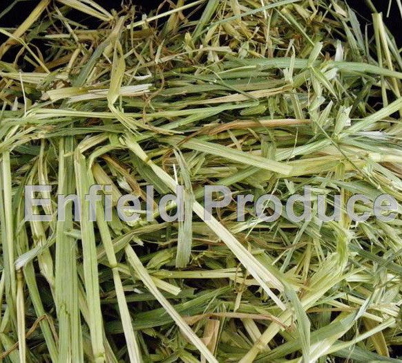 Oaten Hay - Timothy Hay Australia