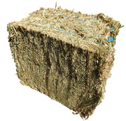 Oaten Hay Bale Compressed For Rabbits