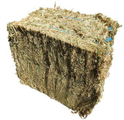 Oaten Hay Bale Compressed Large For Rabbits