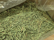 Rabbit Hole Orchard Grass COARSE
